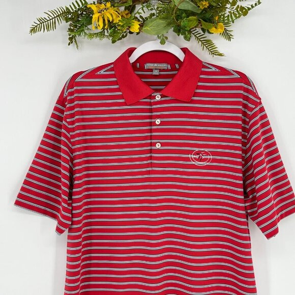 Peter Millar Southern Comfort Polo Mens Size Medium Striped Golf Humming Bird - Picture 3 of 11